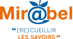 referencement_mirabel_alt